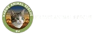 Kabwe Animal Rescue Kabwe Animal Rescue