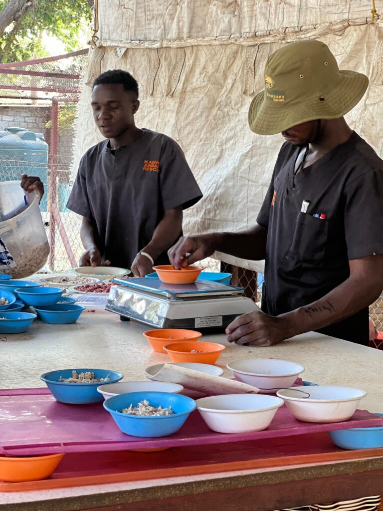 Dishing for the cats. The meat gets weighed as too much is not good for them