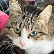 WhatsApp Image 2025-09-08 at 8.51.23 AM WhatsApp Image 2025-09-08 at 8.51.23 AM